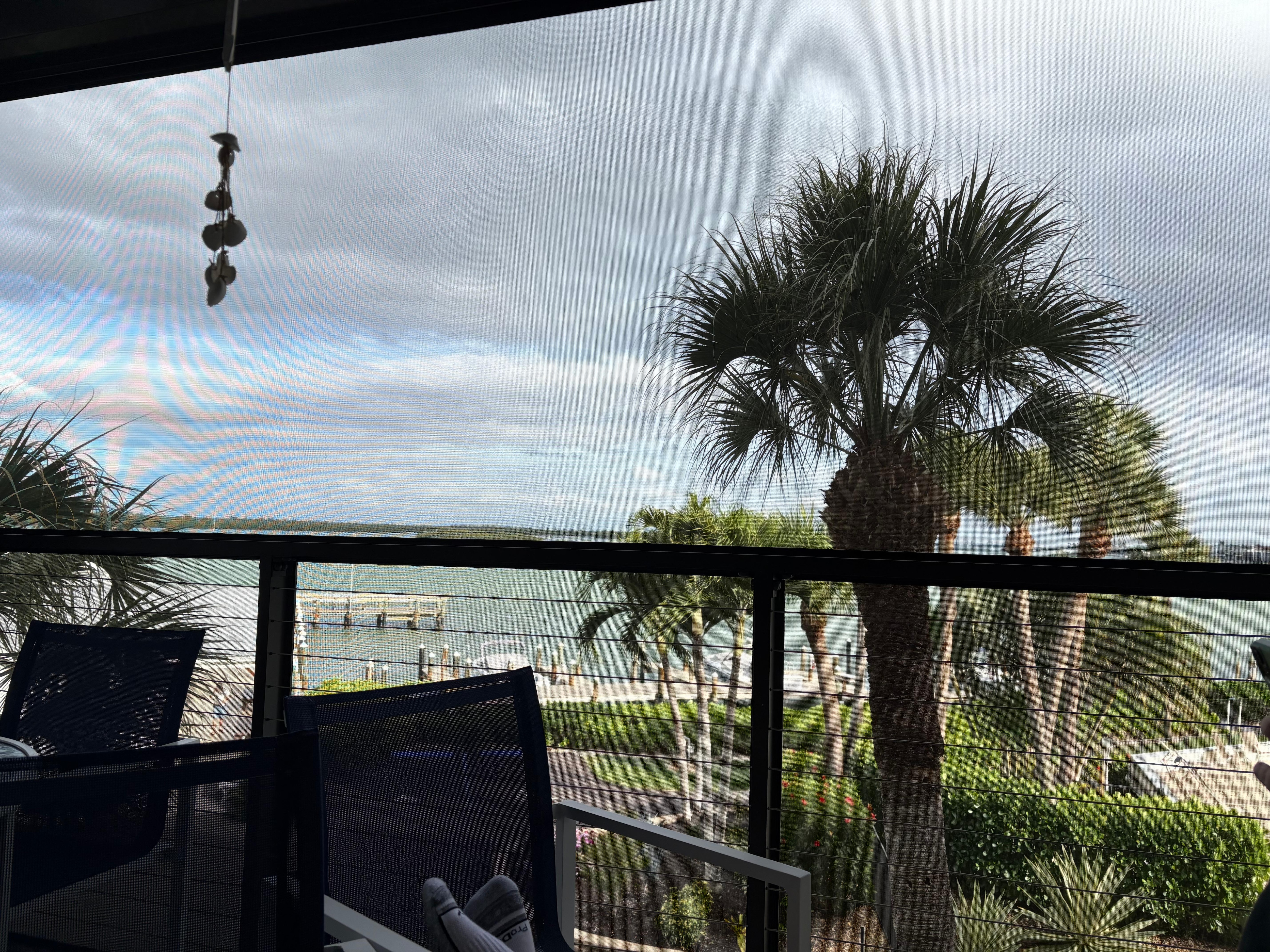 Hanging on the patio 