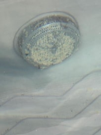 Scum on hot tub inlet