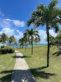 Photo on grounds