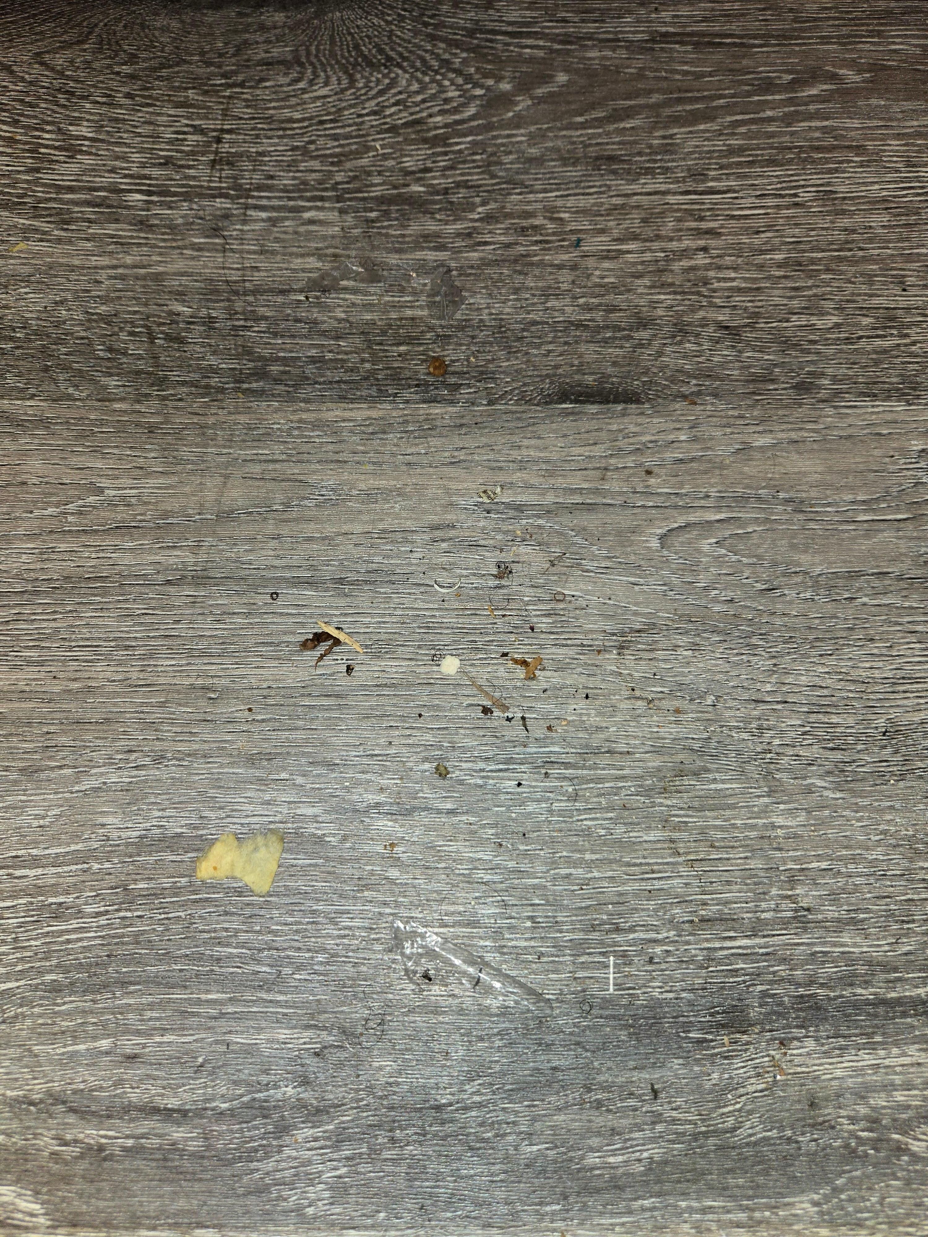 Toe nails,  chips and other  trash on the floor beside the bed at check in. 