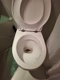 WC honteux