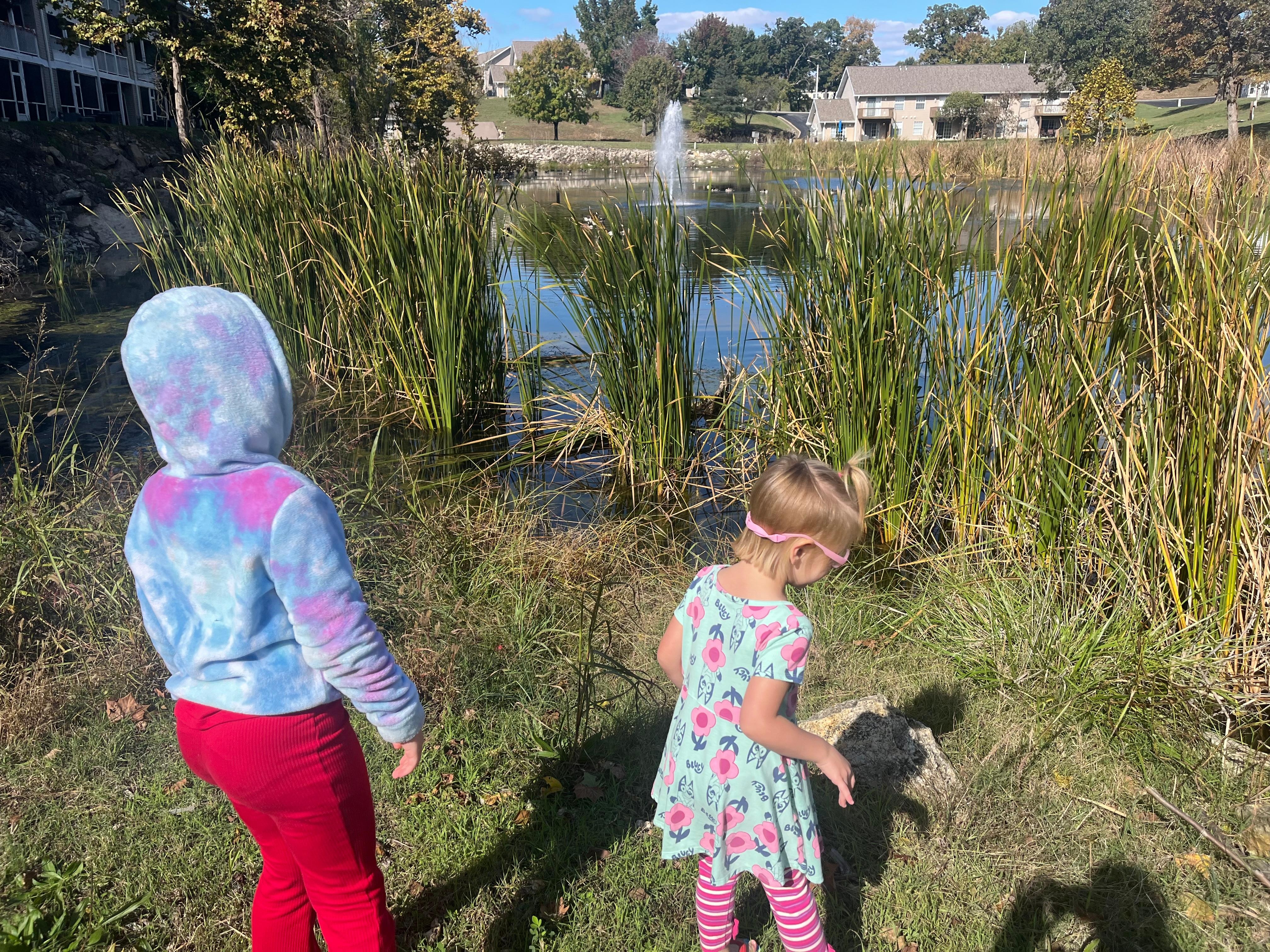 Of course the pond excursion was a huge hit with the kids. 