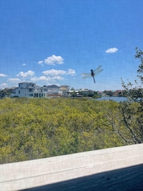 View from the upper back balcony