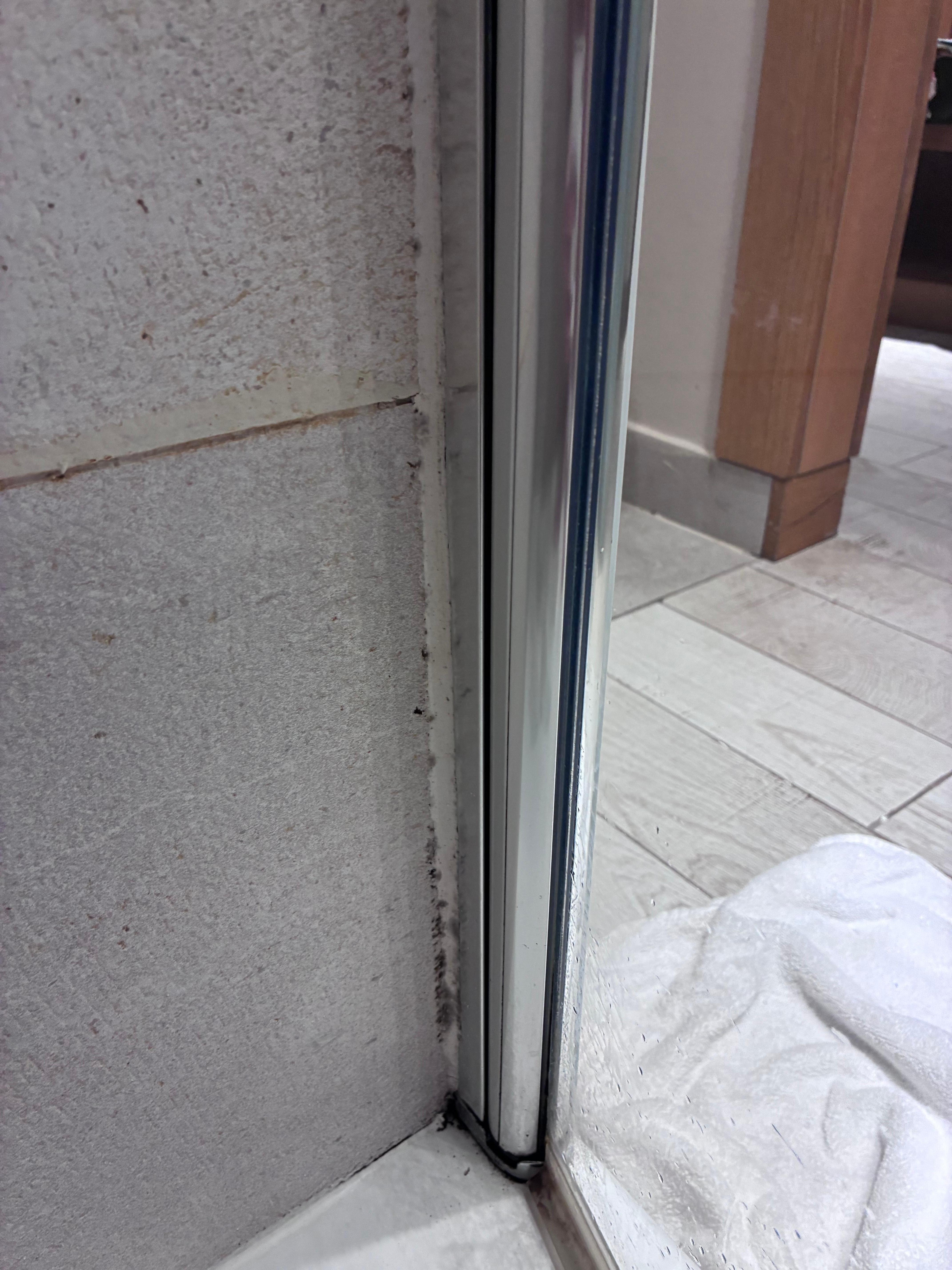 Mold in shower