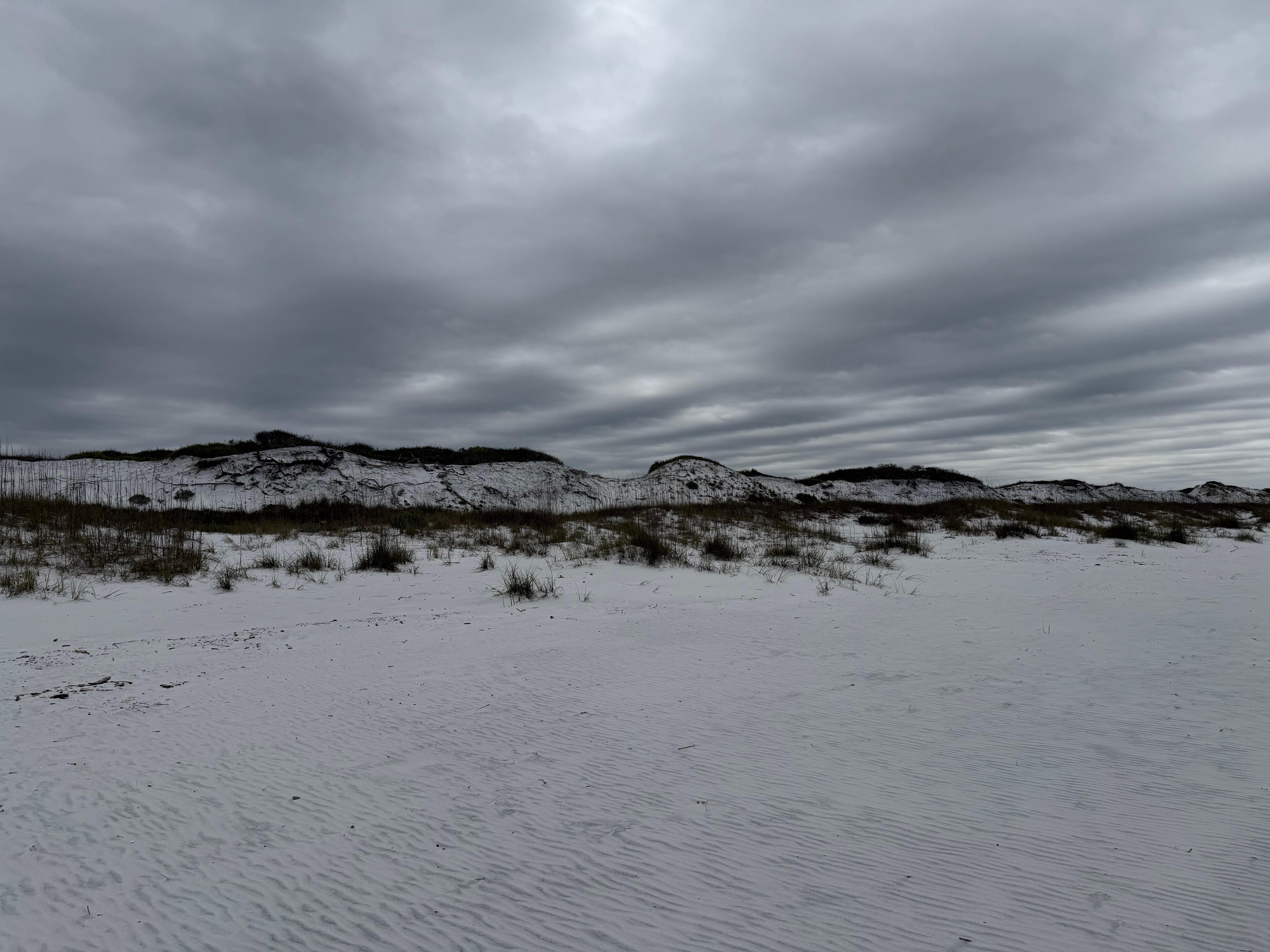 View of Grayton Beach State Park