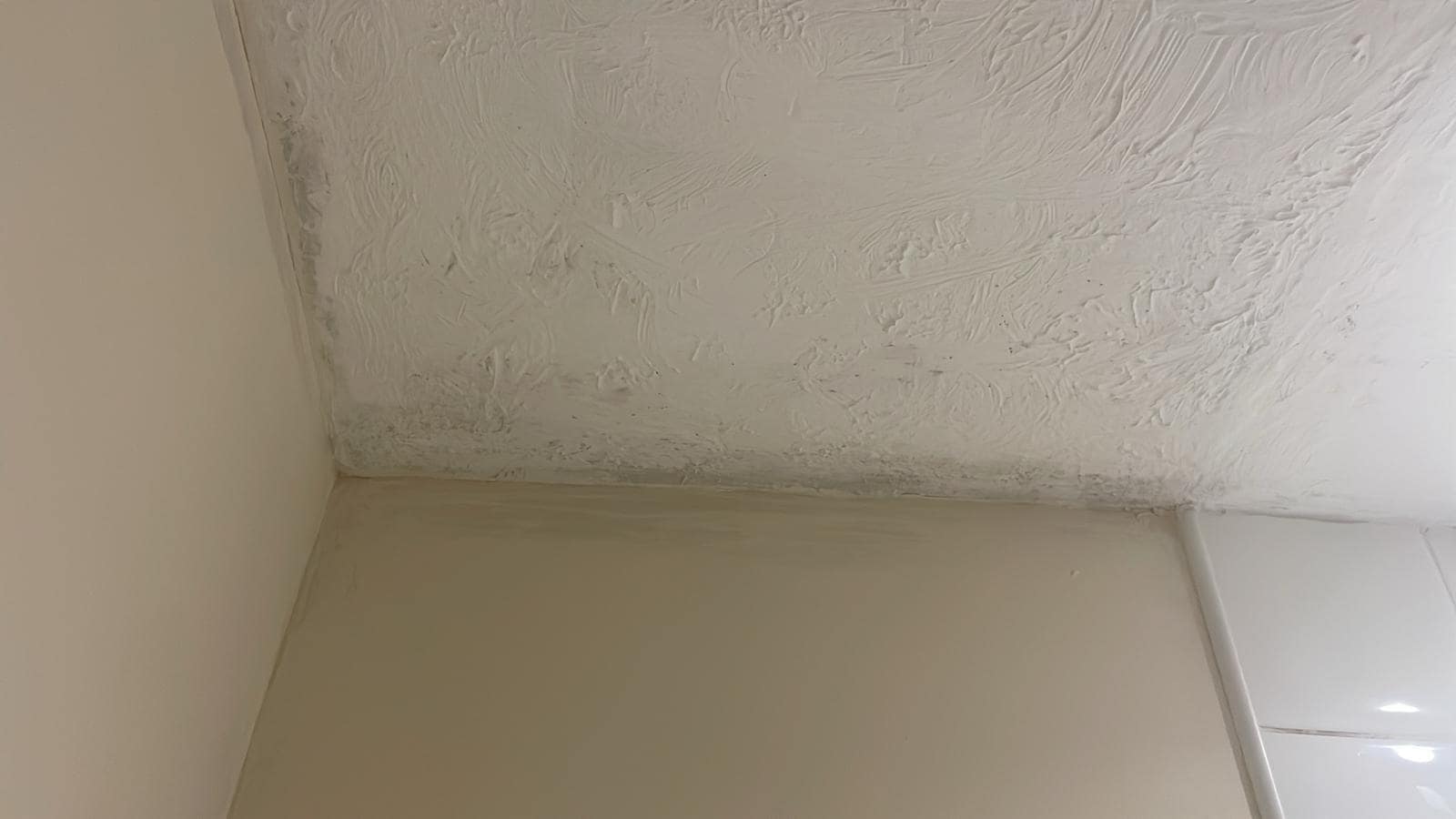 Ceiling Mould