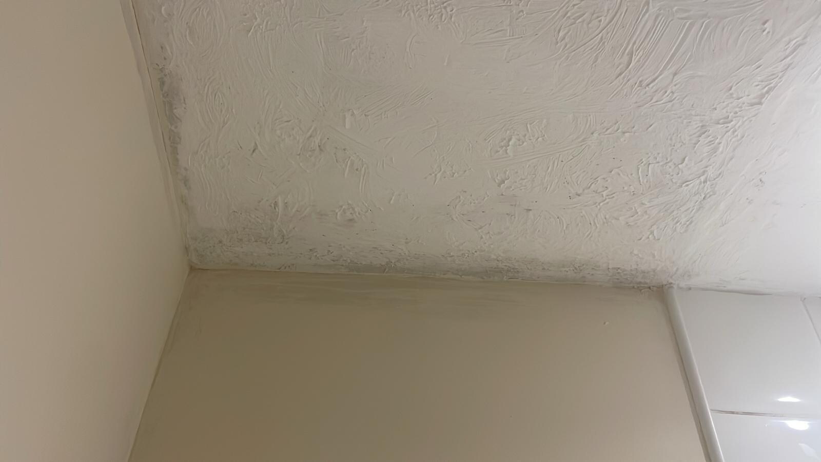 Ceiling Mould