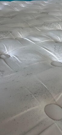 Mold all over the mattress
