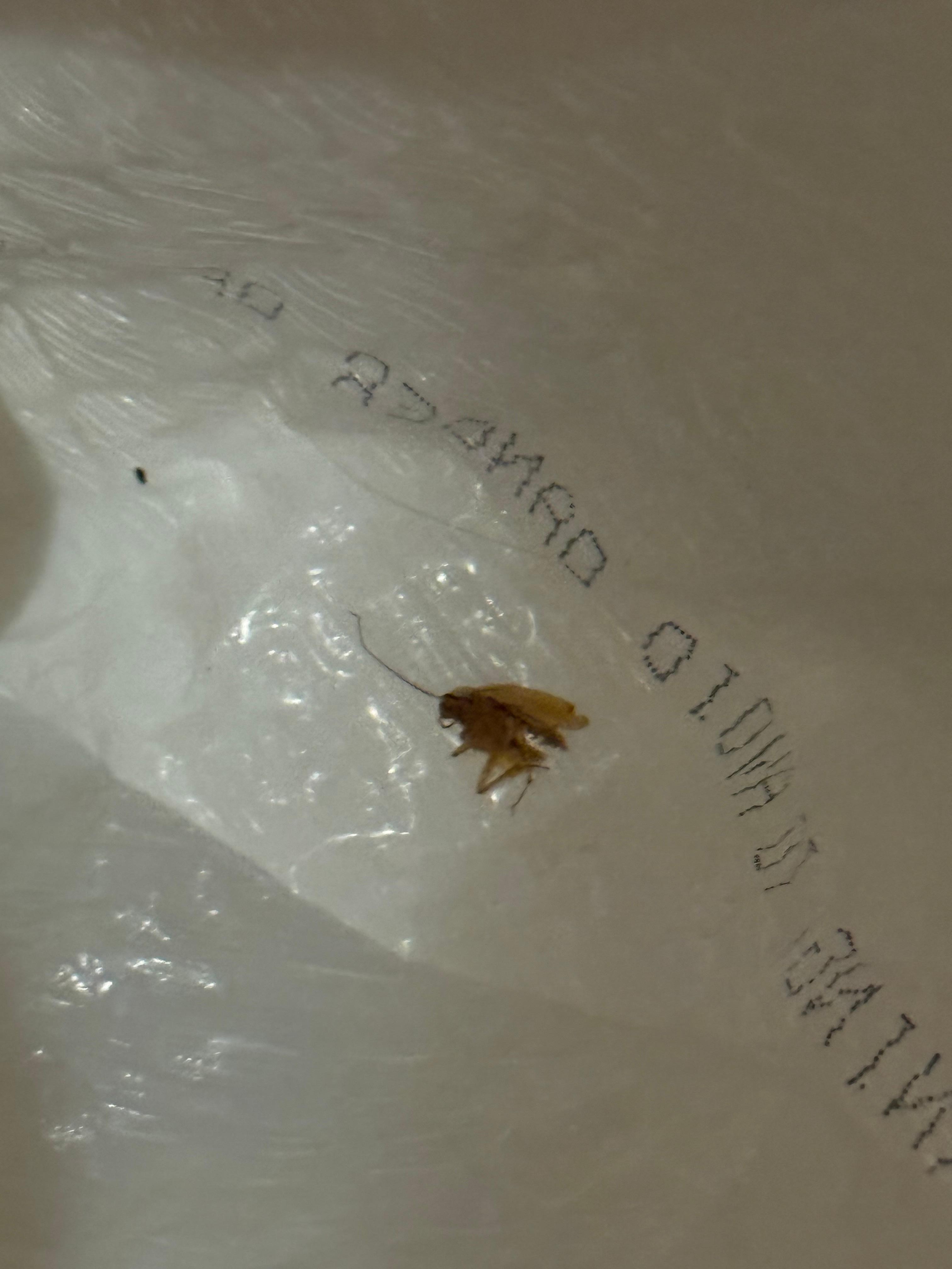 First kill, but there are many more