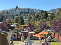 View from above the pool area.