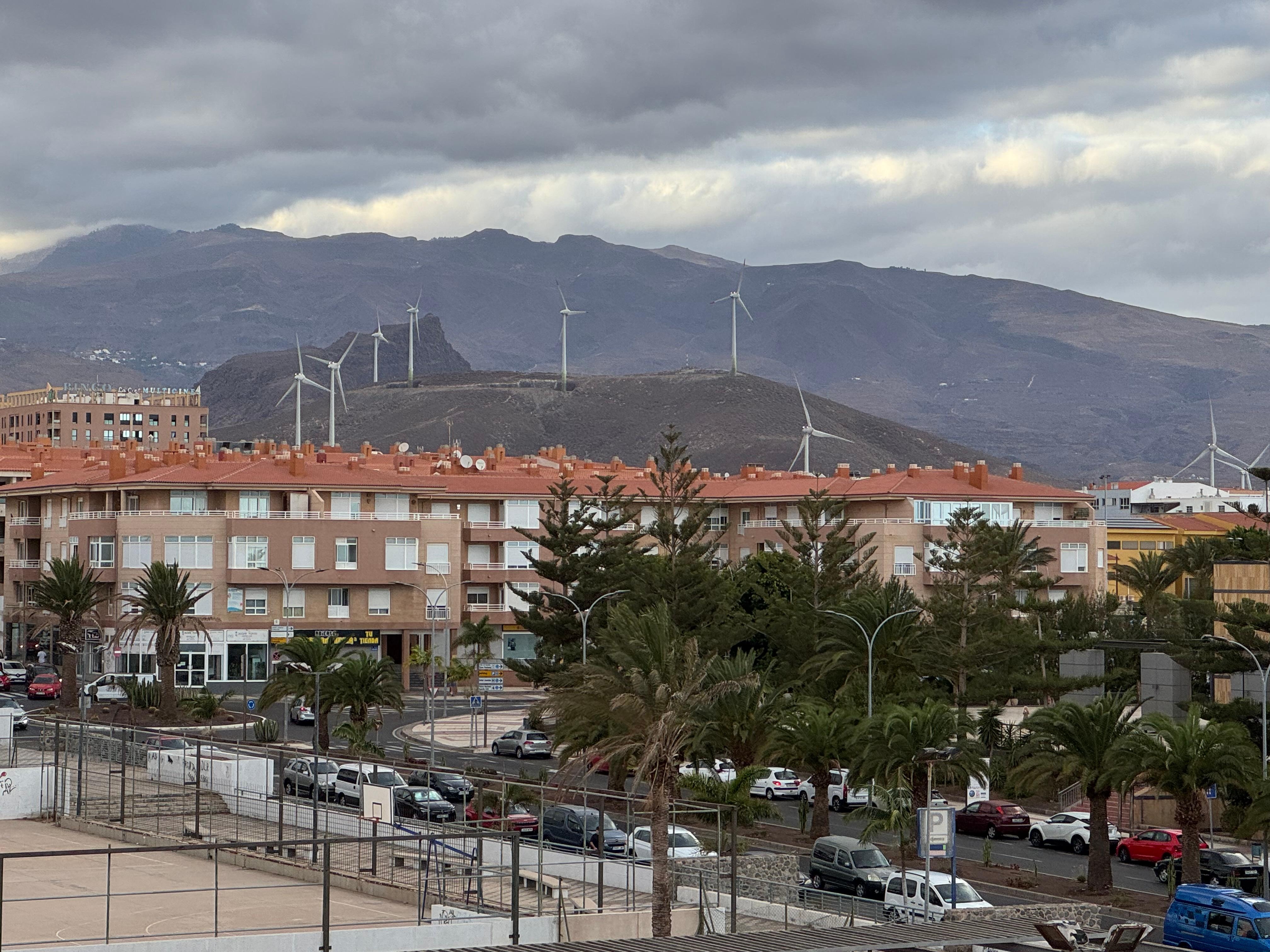 Surroundings from the room balcony 