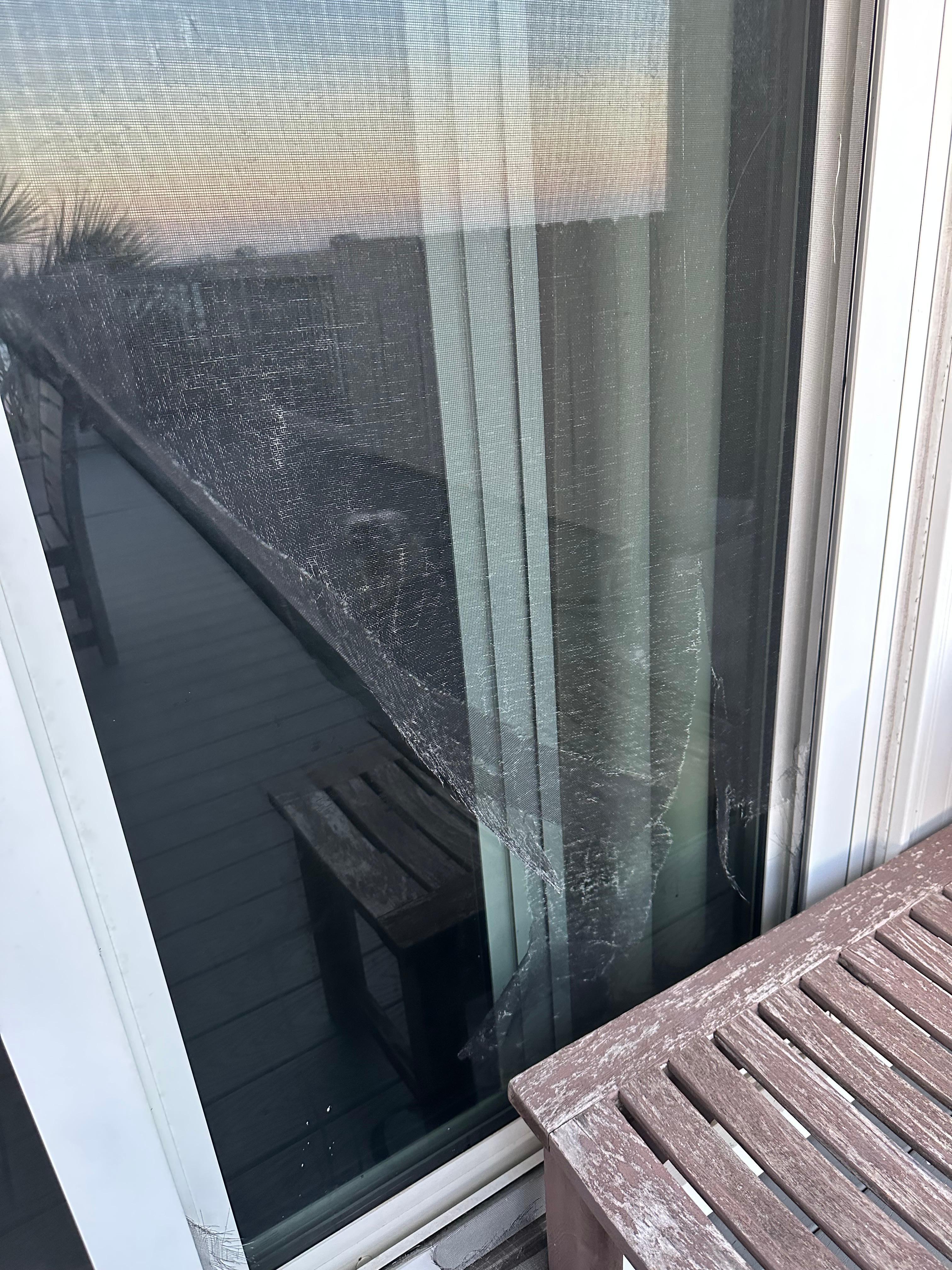 Torn screen/patio 