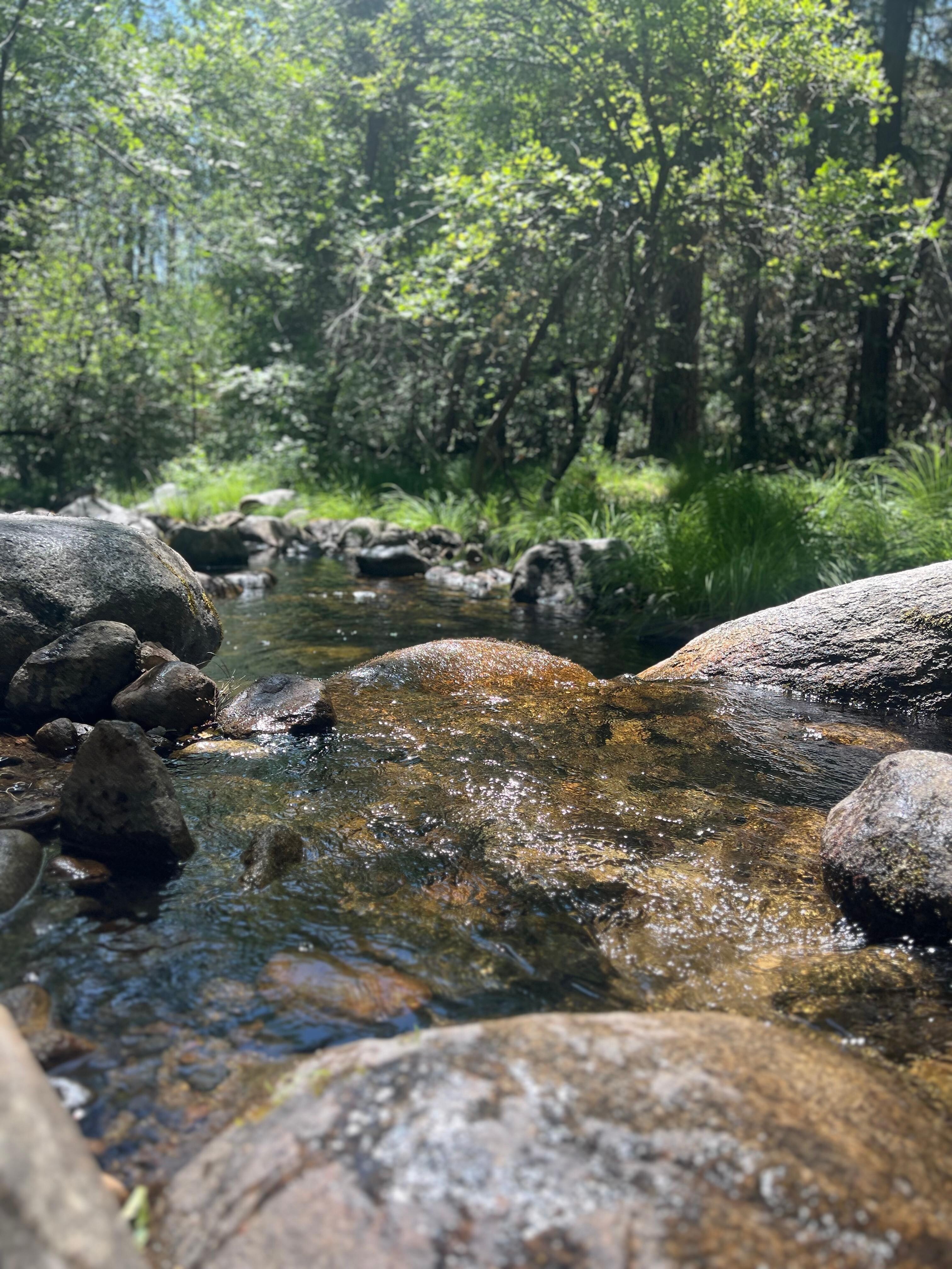 The creek