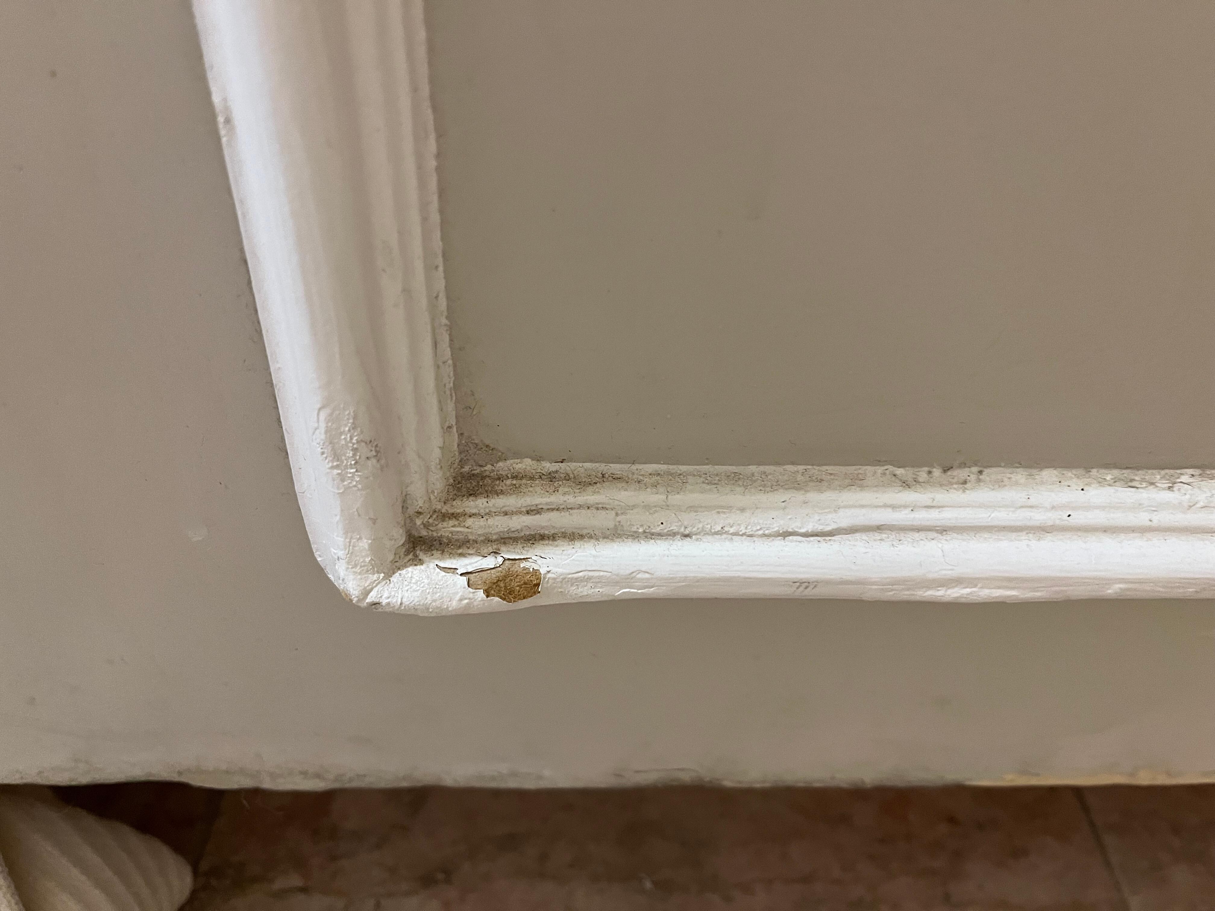 You can see the dirt build up on the trim in the bathroom 