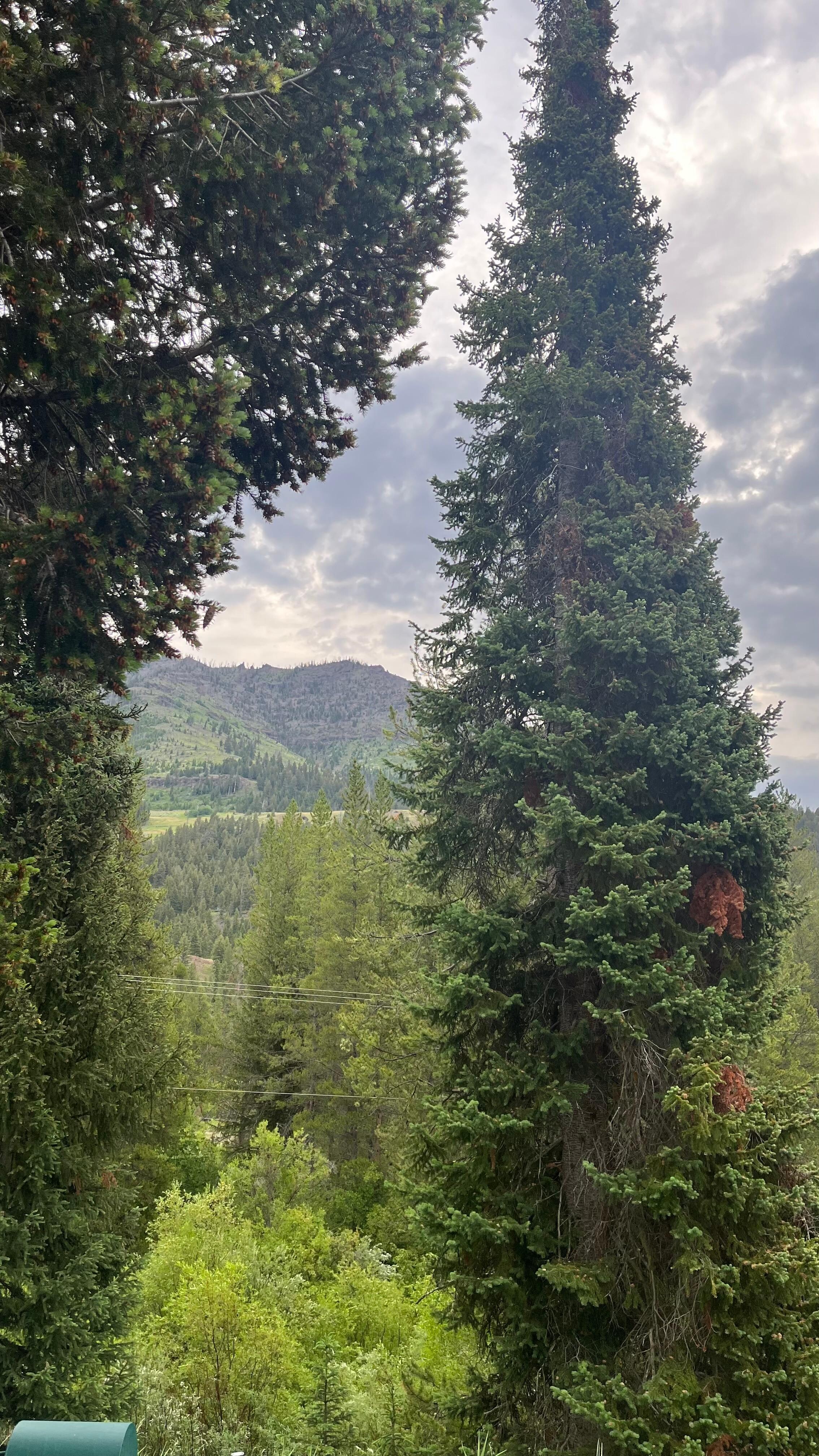 View