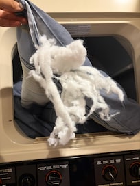 Covers from the guest bedroom . Torn apart.