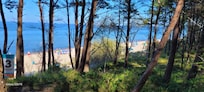The beach close by