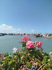 Centre ville