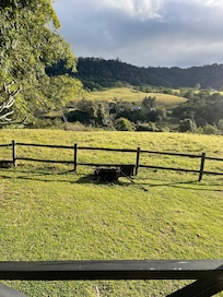 The grass is so green and lush and the view magic