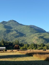 Adjacent farm