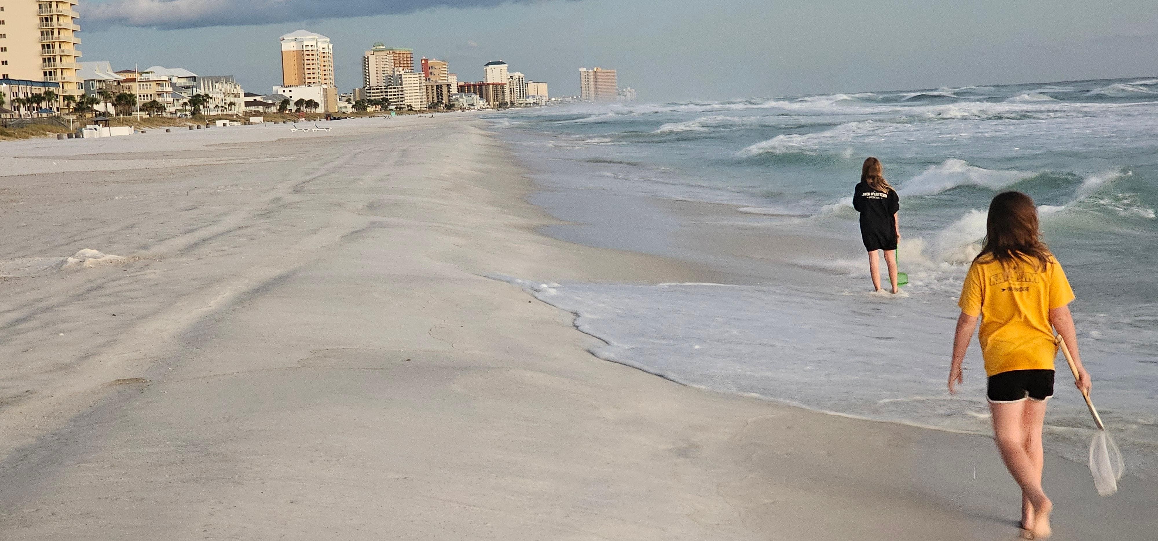 Nice walks on the beach