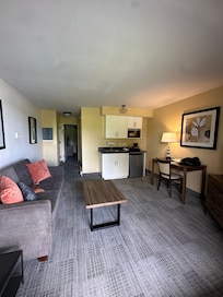 Living room area with a sofa bed.