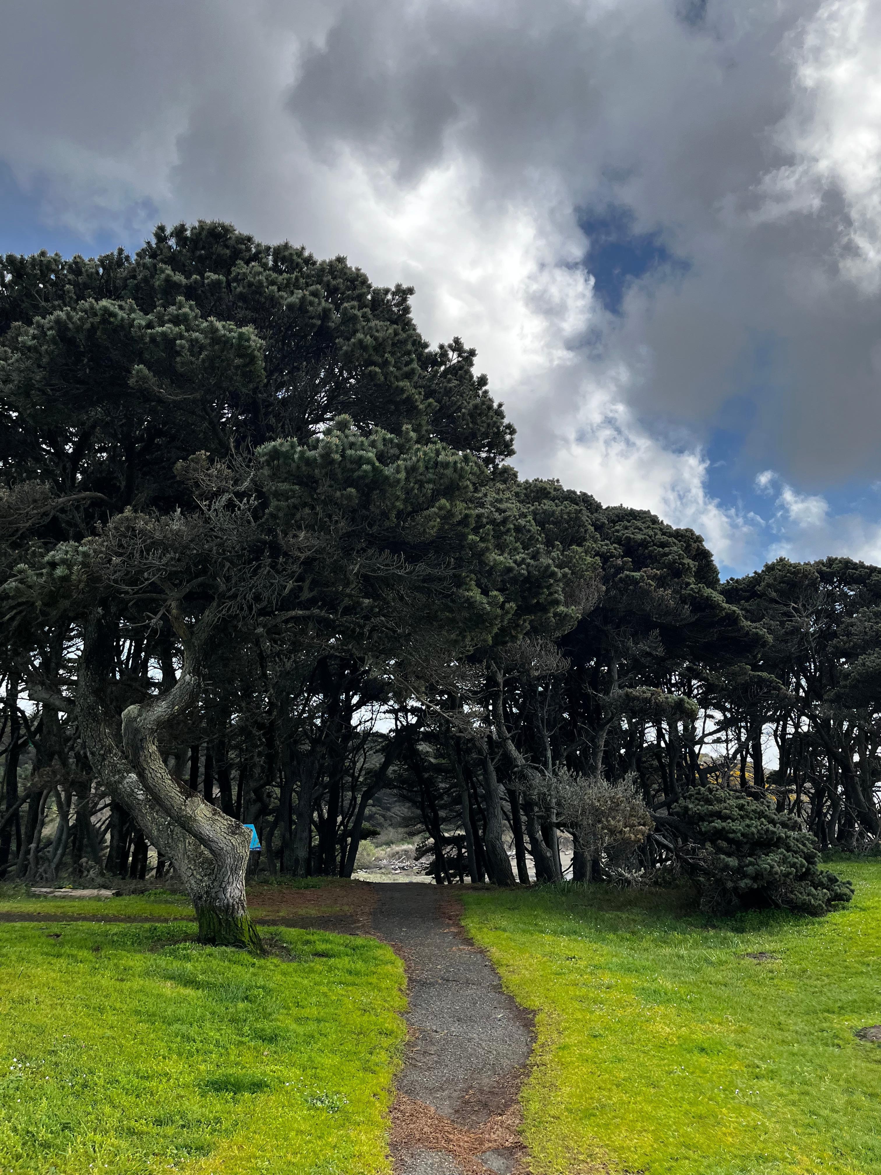 Devils Kitchen beach path