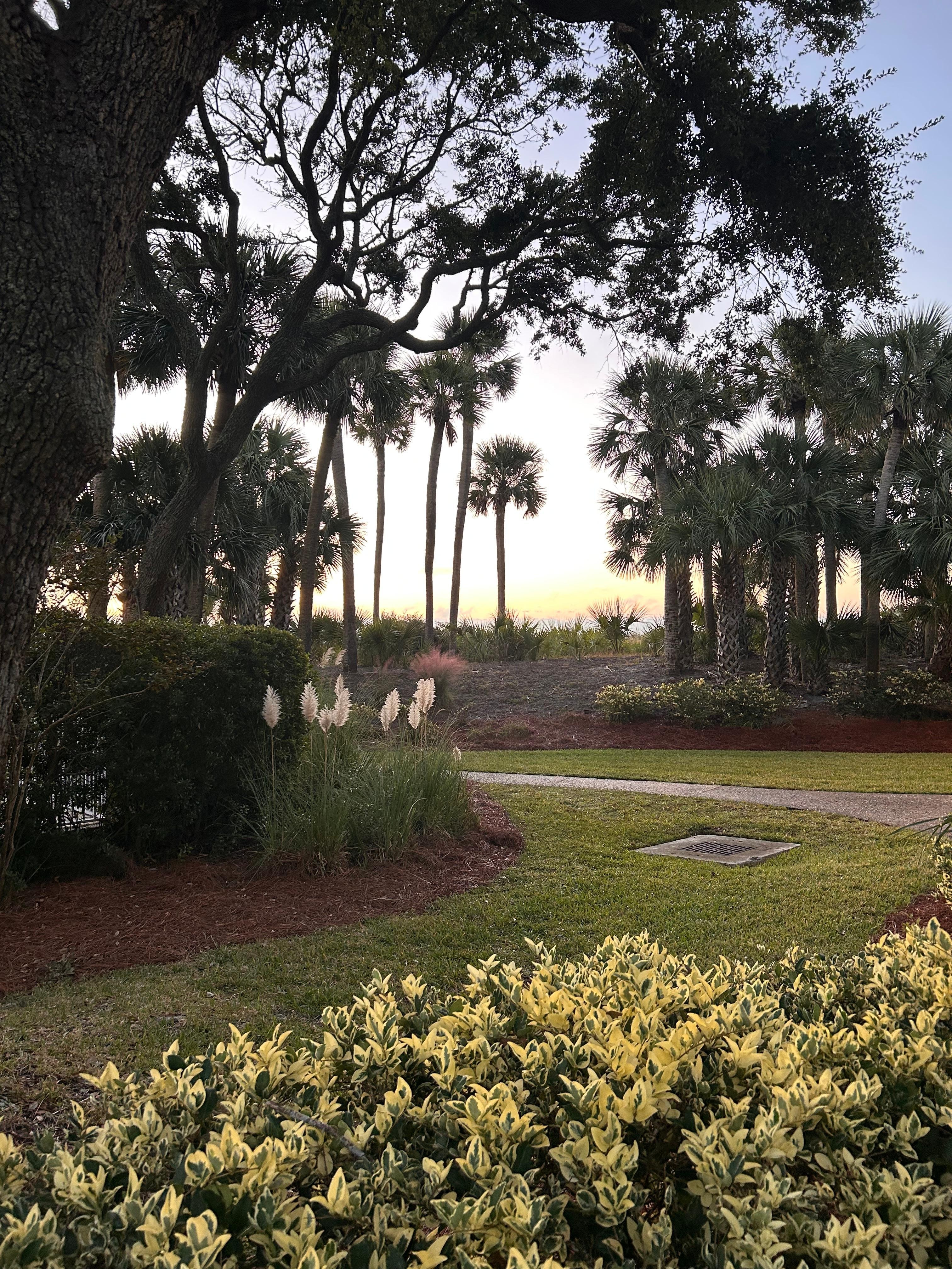 Gorgeous grounds as viewed from the balcony