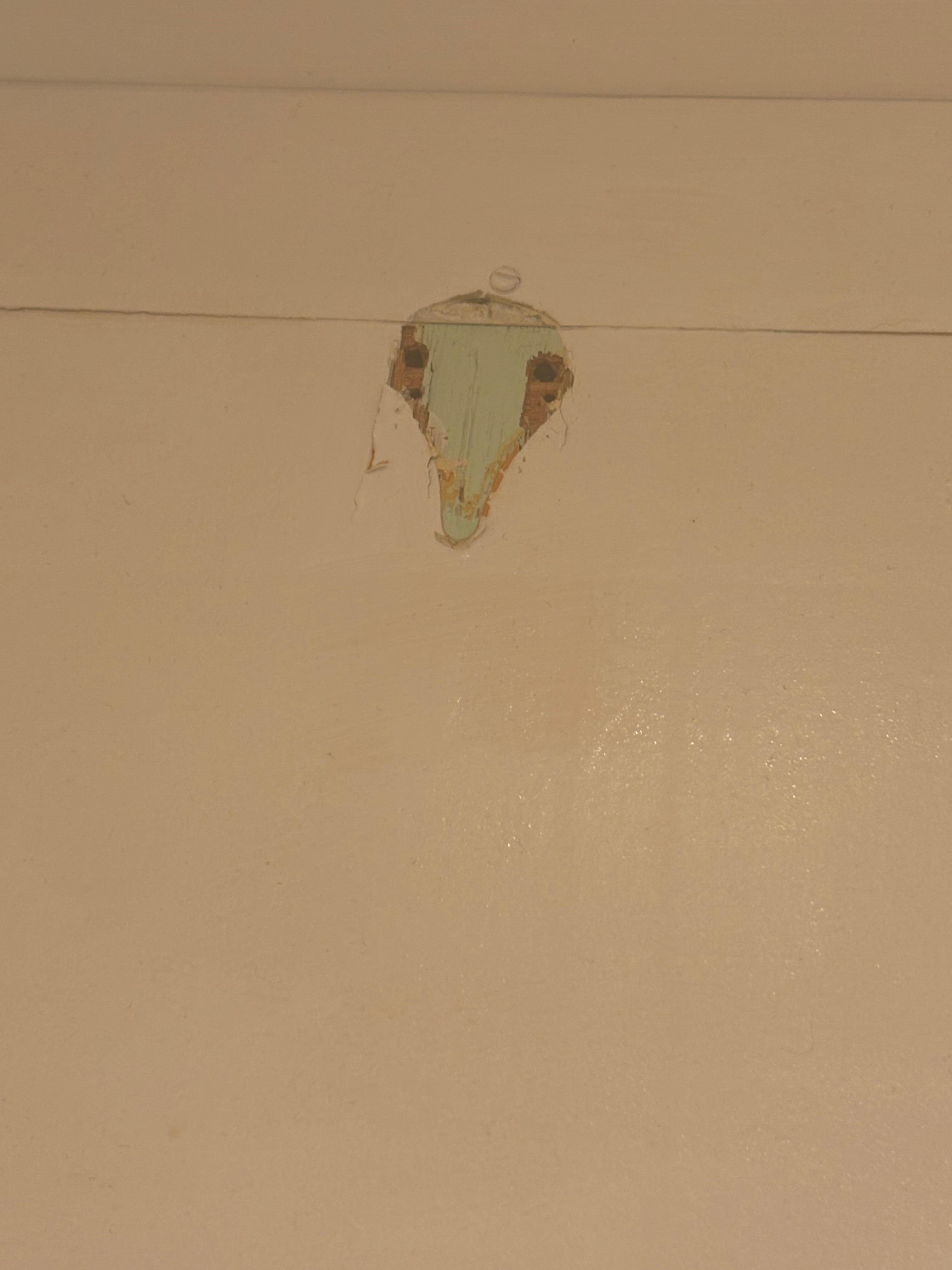 Back of the shower room door - couldn’t be troubled to finish painting it.