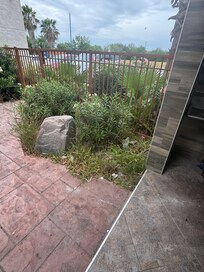 Landscaping