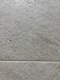 More mold