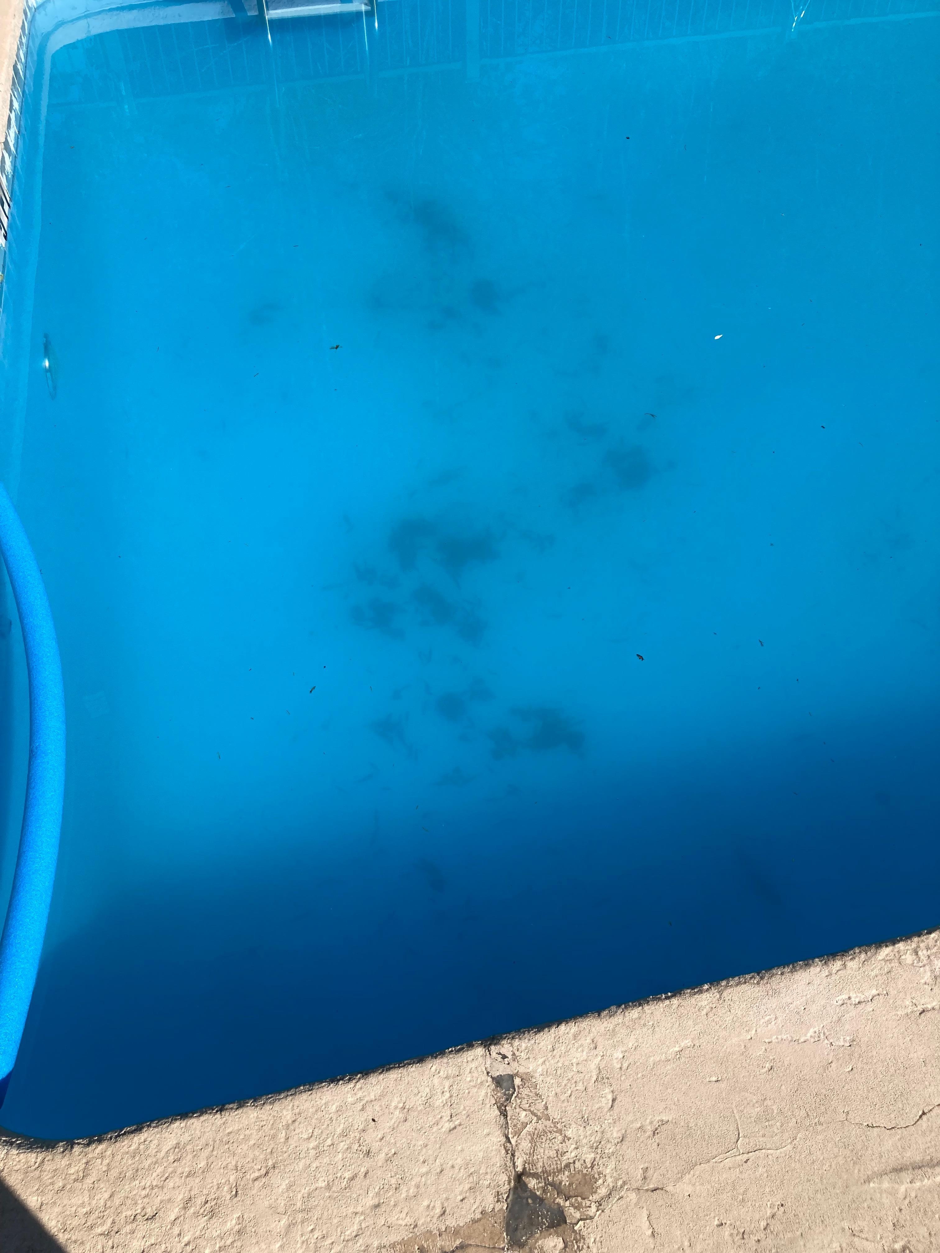 Nasty stuff in pool- not stains 