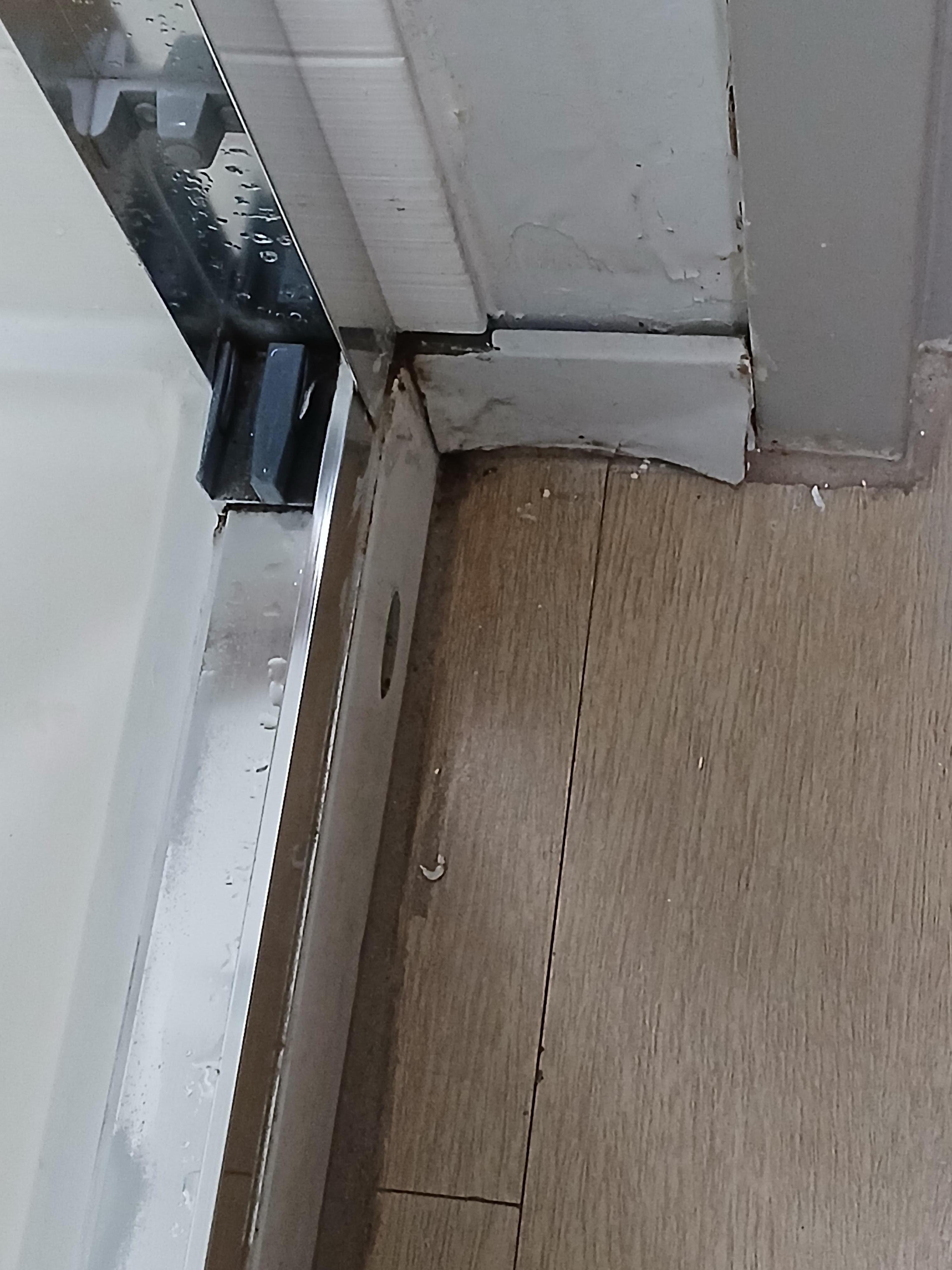 Mold insects under exterior shower door
