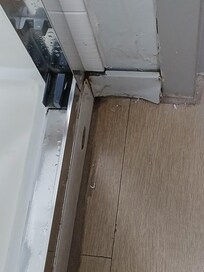 Mold insects under exterior shower door