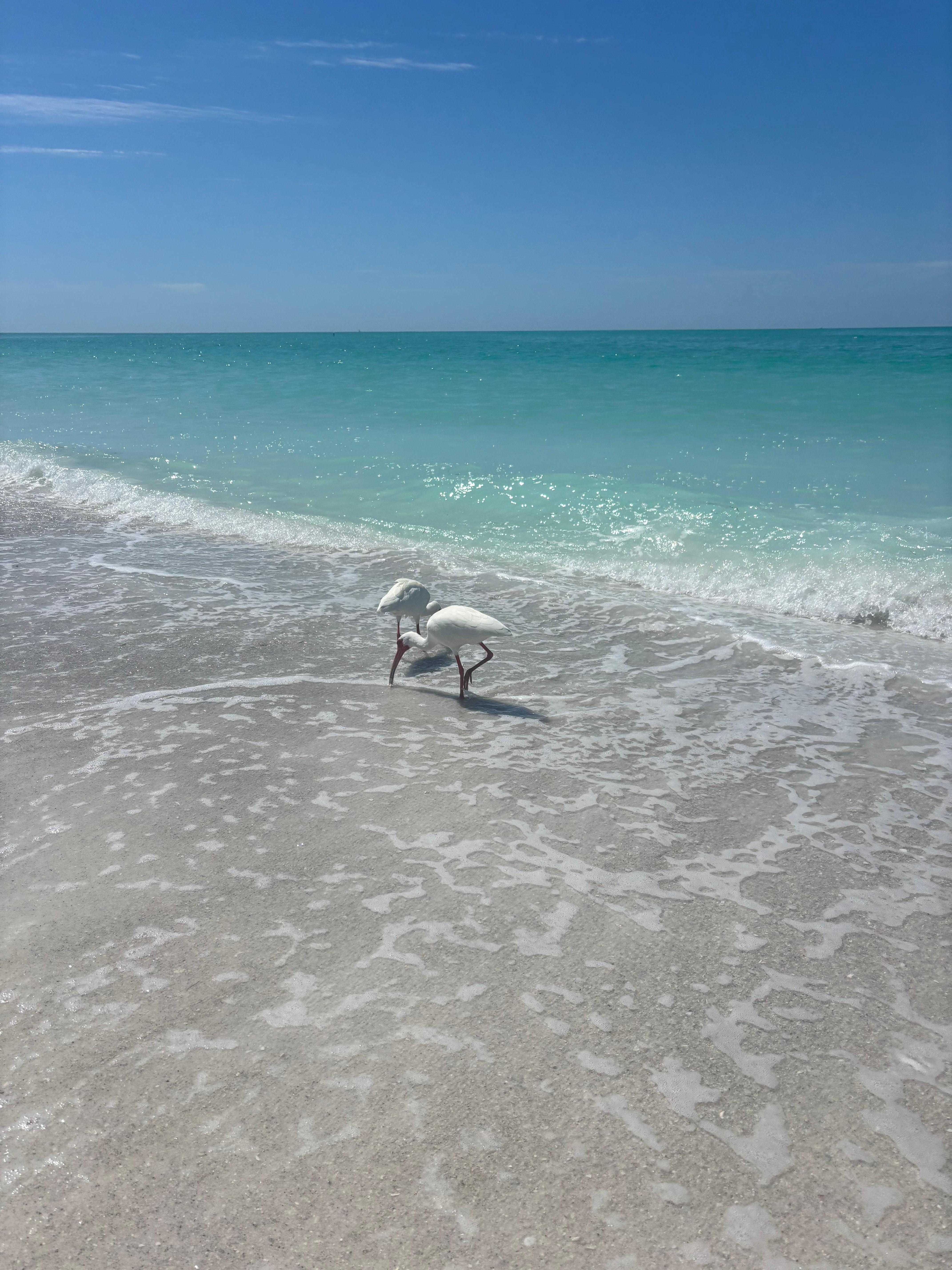 Water like the Caribbean !
One of the most beautiful beaches I’ve ever seen