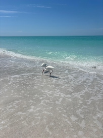 Water like the Caribbean !
One of the most beautiful beaches I’ve ever seen