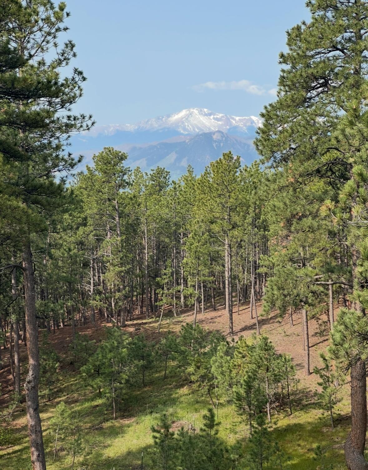 View of Pikes Peak from the rooftop balcony 