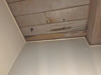 Water damage in the ceiling