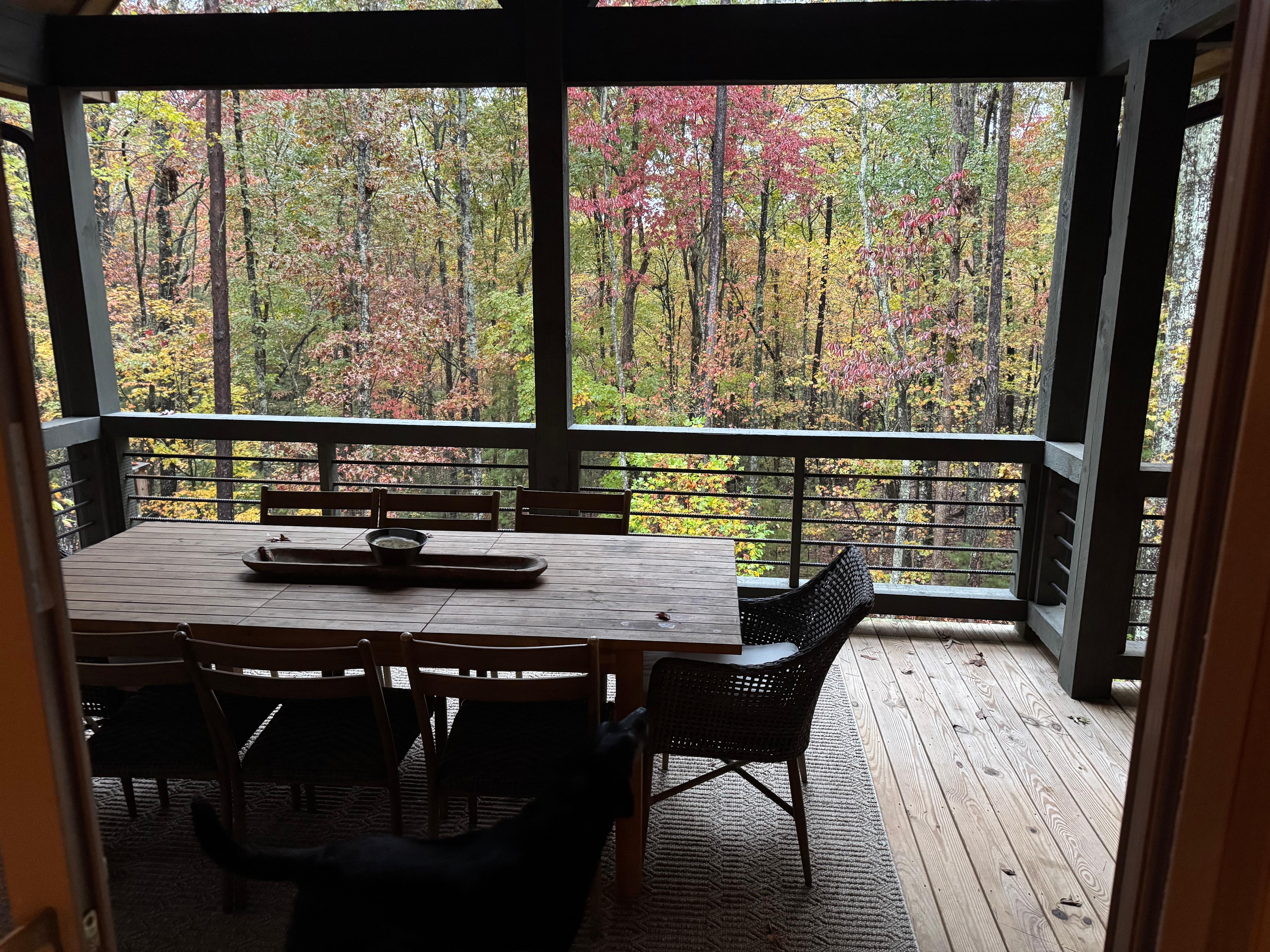 View from the back porch