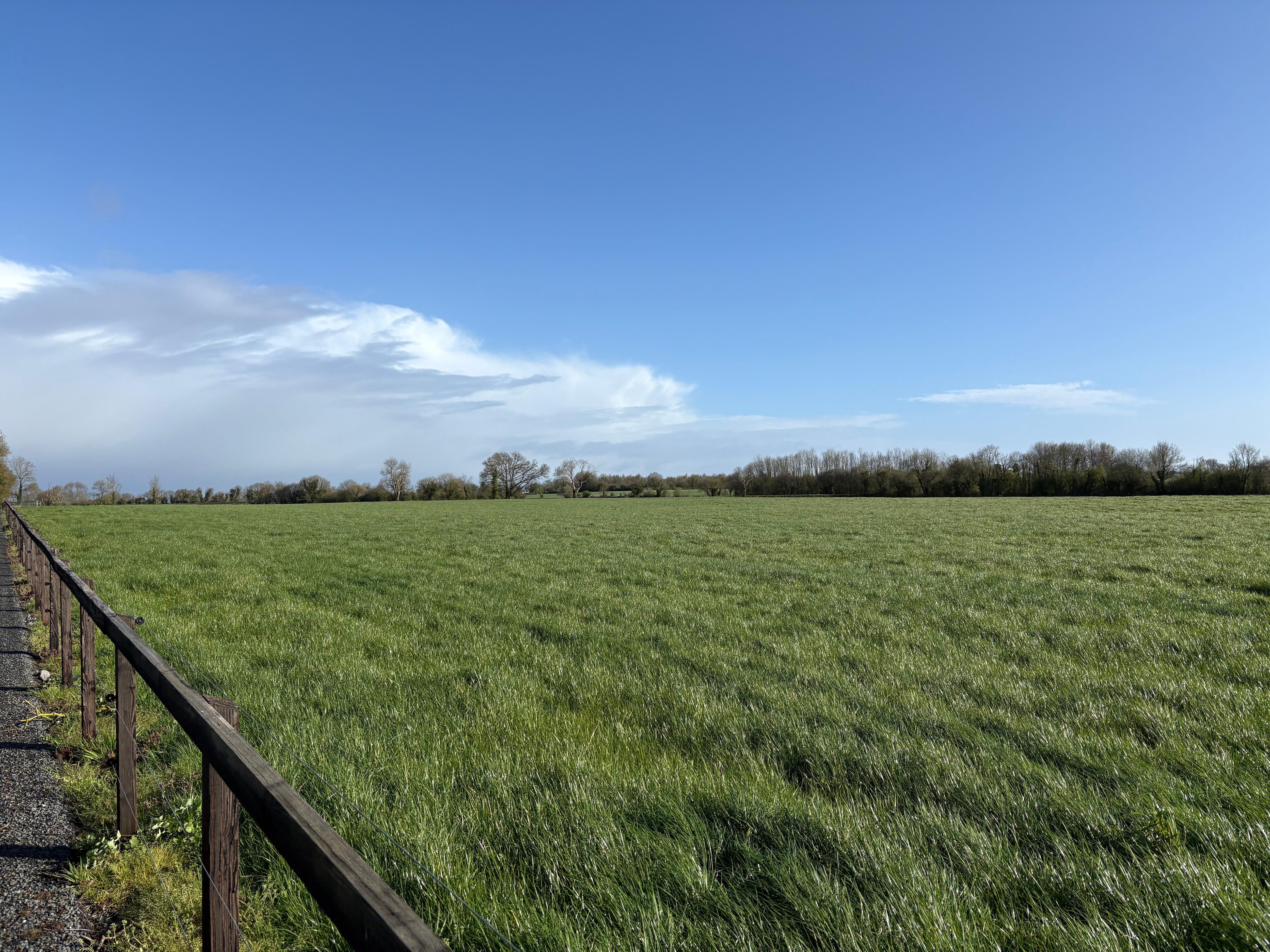 The grounds are so peaceful, lovely paths to walk each day. 