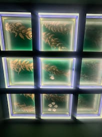 Ceiling in downstairs bedroom.