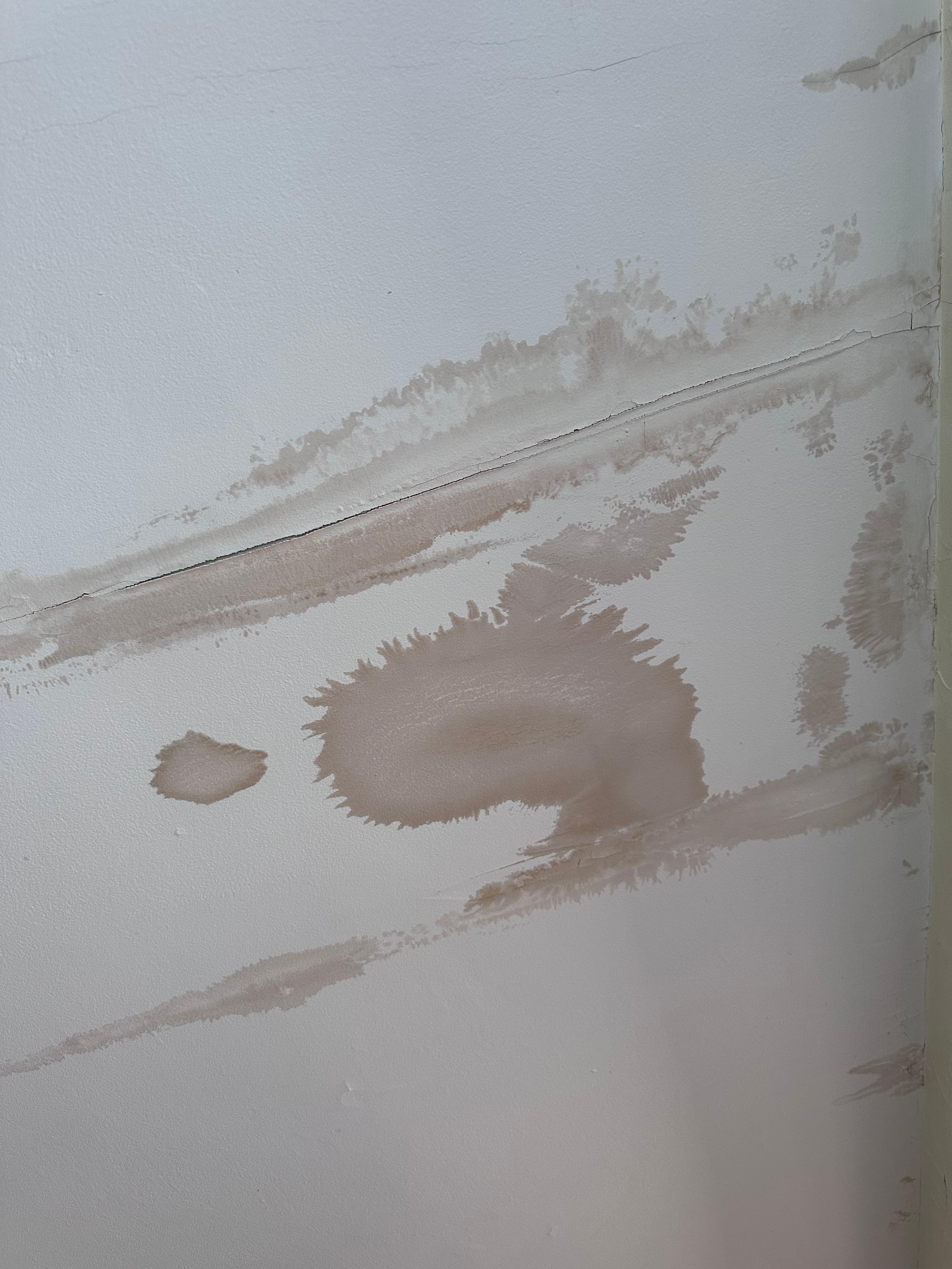 Stained ceilings throughout. There was mold everywhere. Walls, bathrooms, etc. 