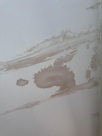 Stained ceilings throughout. There was mold everywhere. Walls, bathrooms, etc.