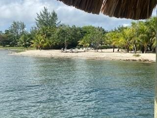 What great views of our own beach