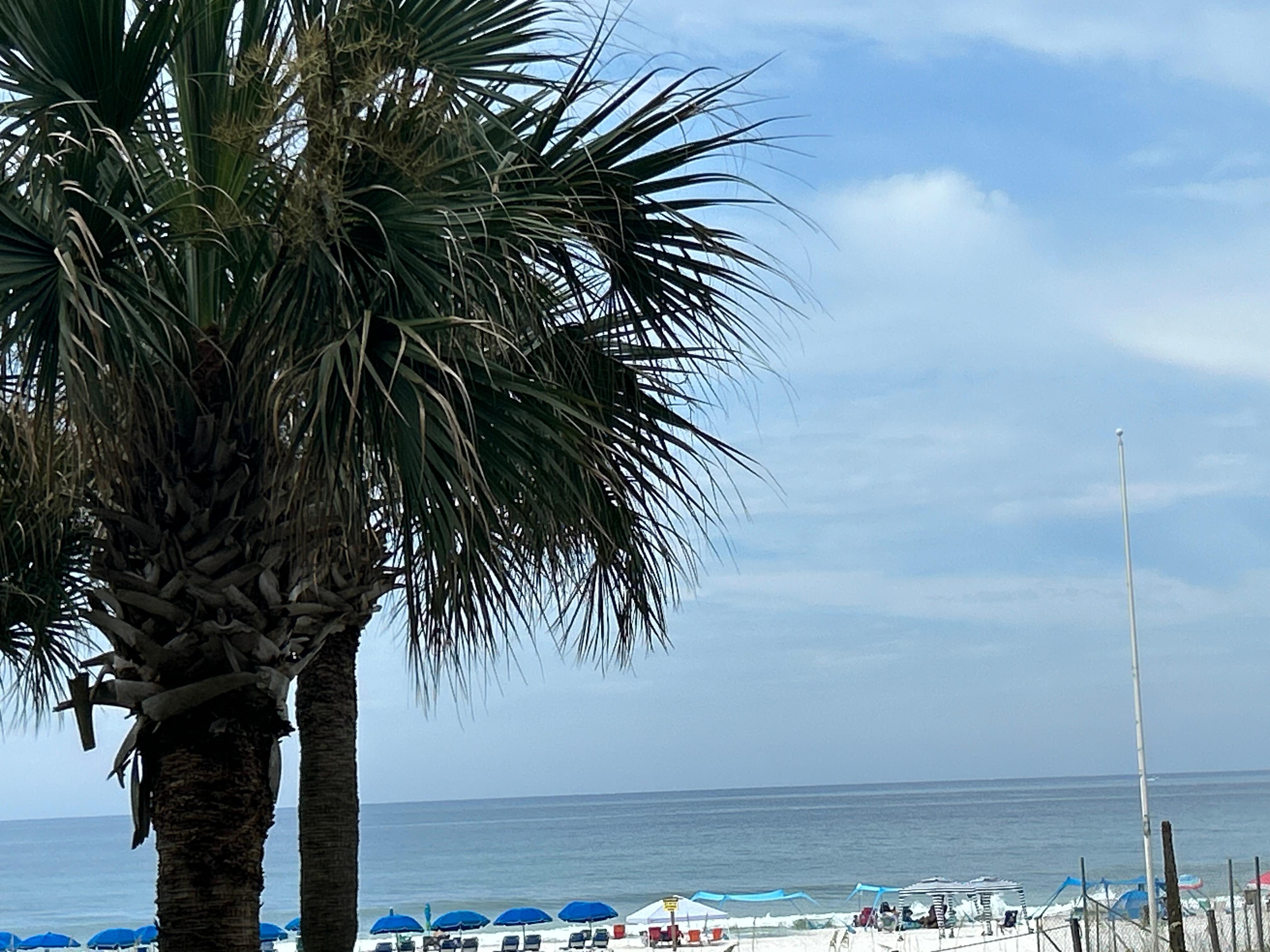 View from balcony 