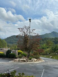 Just a pretty view!