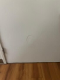 Bathroom door