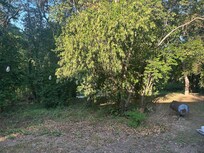 Overgrown vegetation blocking river view