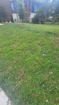 Grass could have been cut prior to our arrival