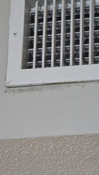 Mold in condo